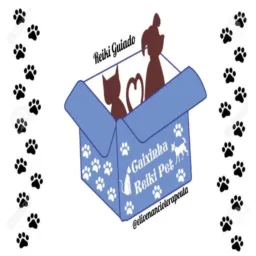 Reiki Pet Guiado