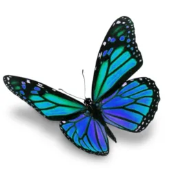 🦋✨ BORBOLETA AZUL LUZ ✨🦋