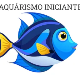 AQUARISMO INICIANTE 🐟🐠