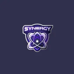 COPA SYNERGY