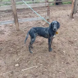 Grupo dos amigo Edinaldo