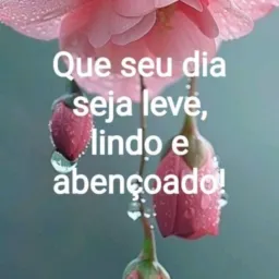 Links, Amizades e Figurinhas