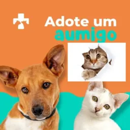 Vendas e Doação de 🐈 e 🐕 colinas