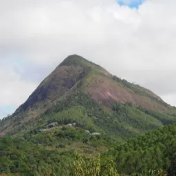 A VOZ DO MONTE NEGRO