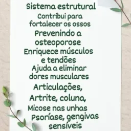 CLUBE DE SAÚDE A CURA REAL COPAIBA ANDIROBA PRACAXI E SEIVA SANGUE DE DRAGÃO, AMAZÔNIA MATA VIVA