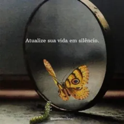 Frases livros &videos