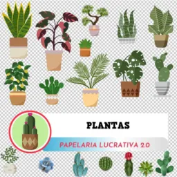 Rosene Plantas Medicinais🪴🌱