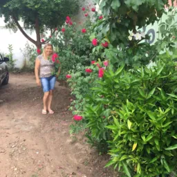 Galega Drinks💃🏼🍹🍻 um hoo o lily de n o tu on  mo nmomn Nnn p kkk kkk noi
