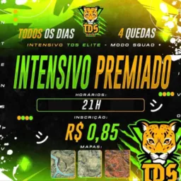 🔰 INTENSIVO PREMIADO ☠️🇧🇷