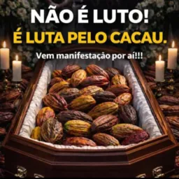 EM DEFESA DO CACAU