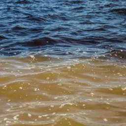 ᥀﹗࣪ ࣪🌊̷︬࣭︥ ࣪ 𝕽io 𝕹egro & 𝕽io 𝕾olimões