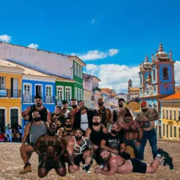 Clube dos Ursos 71 a 79 🐻