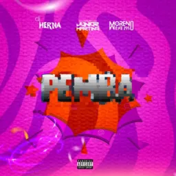 "PEMBA"🔥