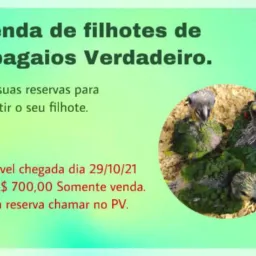 Compra vende troca tudo