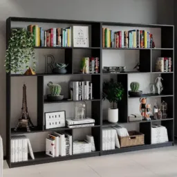 Estante da tacy Venda de livros novos e usados