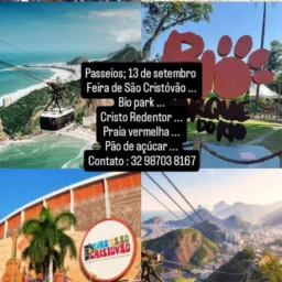 Divulgações - Notìcia - Informações