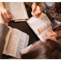 Evangelizando entre amigos