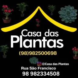 CASA DAS PLANTAS  2