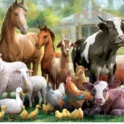 BRICK DE ANIMAIS RG🐎🐖🐄🐐🐇🐣🦆