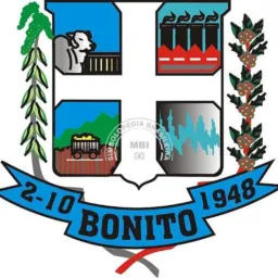 Bonito MS Business