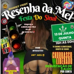 RESENHA DA MELL