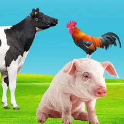 🐔🐥Animais Em Geral 🐂🐄