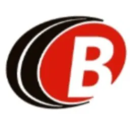 Cargas geral BRILHANTE TRANSPORTES