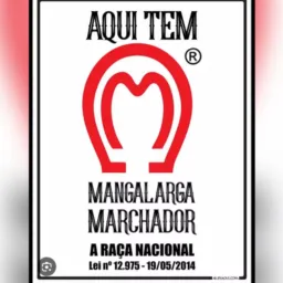 compra e vendas de mangá largar machador,e etc