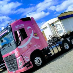 FRETES - D'GRANEL TRANSPORTES SINOP MT 🛣️🚚