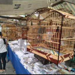 Feira de Caxias 01 🕊🦜