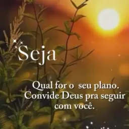 Plataformas pagantes