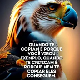 Big fild campo grande rolo de pássaros