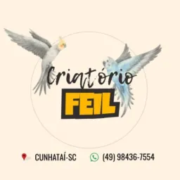 CRIATÓRIO FEIL - REVENDA E PARCERIAS 🫱🏻🫲🏻