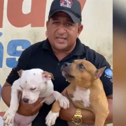 🇧🇷2° RIFA🇧🇷 DO CANIL PATRULHA CANINA BULL KENNEL