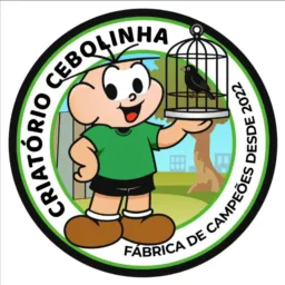 RIFA CRT CEBOLINHA 🧬❤️‍🔥🤯