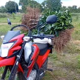 venda ou troca Capanema