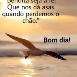 Novas amizades