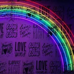 FORÇA LGBT🏳️‍🌈