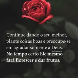 Só vendas