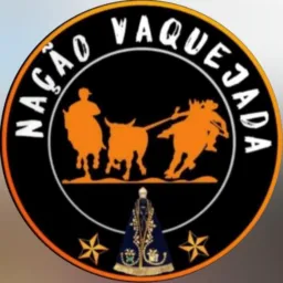 ESPORTE VAQUEIJADA🐂🏇🏻
