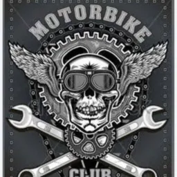 free lance moto clube 5