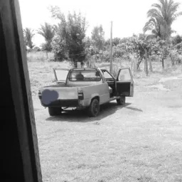 Grupo de compras e venda de Machadinho do Oeste e região 🚜🚛🚘