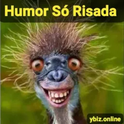 Humor Só Risada