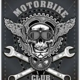 free lance moto clube 11