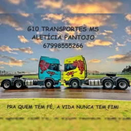 G10 Transportes Naviraí Ms
