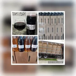 🍷🍇Vinhos Colonial Atacado