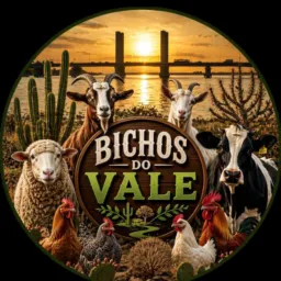 Bichos do vale 🐎🐕🫏🦌🦙🐓🐔🦜🦉🦅🐤🐣🐠