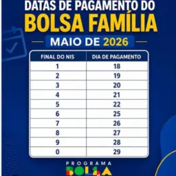 Bolsa Porto grandeap