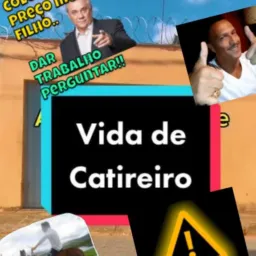 🎯catira boa🛵🚲🏎️💰 regras  grupo 
Respeito à privacidade dos outros membros; ...
Vamos catira galera🔙🔛