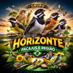 Troca e venda de passaros